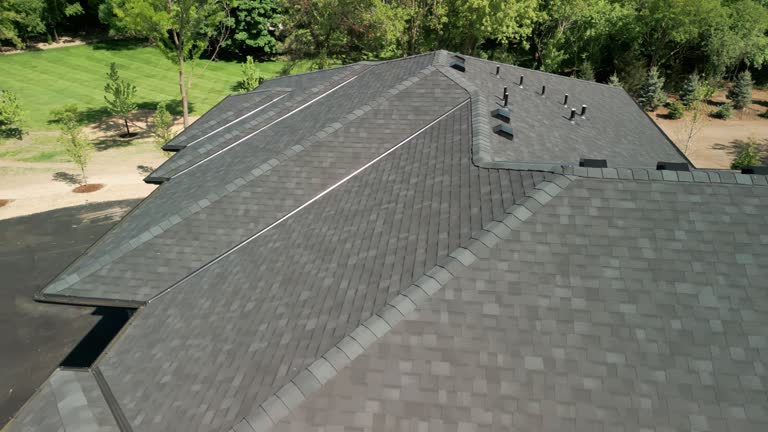 Best Sheet Metal Roofing  in Cedaredge, CO
