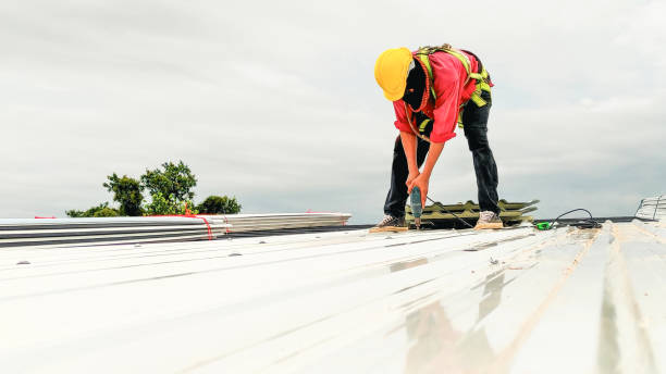 Best Storm Damage Roof Repair  in Cedaredge, CO