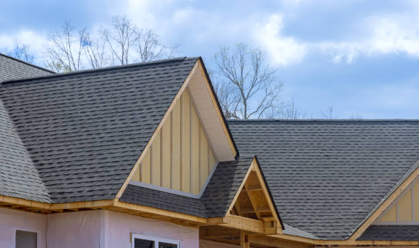 Best Roof Installation  in Cedaredge, CO