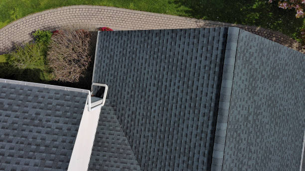 Best Metal Roofing Installation  in Cedaredge, CO